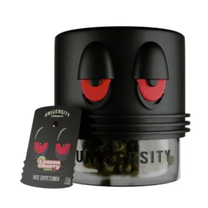 UNIVERSITY THCA FLOWER 3.5 GRAM JAR |  OREO BLIZZARD (HYBRID)