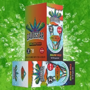 Dawgstar 2pk Preroll Malawi Gold (Sativa)